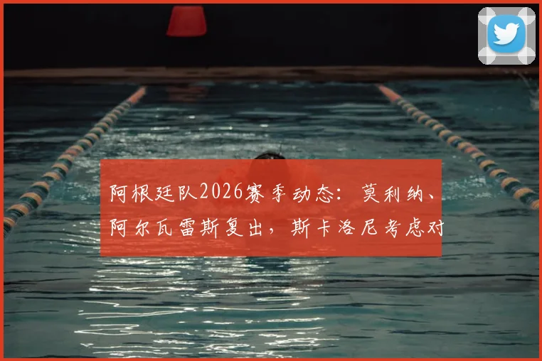 阿根廷队2026赛季动态：莫利纳、阿尔瓦雷斯复出，斯卡洛尼考虑对阵奥地利热身赛轮换阵容解析