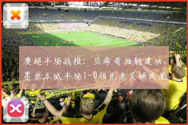 澳超半场战报：贝希奇抽射建功，墨尔本城半场1-0领先惠灵顿凤凰，附全场录像回放及数据分析