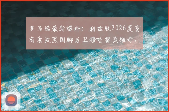 罗马诺最新爆料：利兹联2026夏窗有意波黑国脚后卫穆哈雷莫维奇，转会动态与球员深度解析